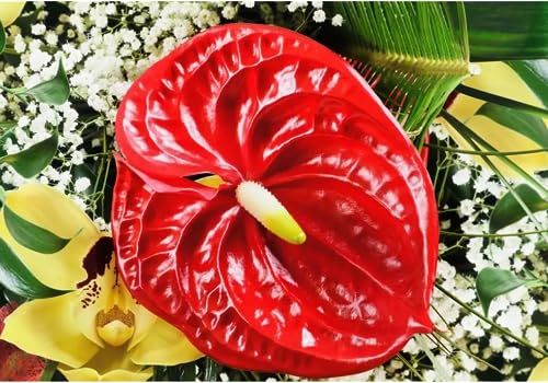 Corkwaw 8 Pcs 23-5/8 inch Artificial Anthurium Flowers Real Touch Fake Flower for Table Centerpieces Arrangement and Bridal Wedding Festival Decor Flower Arrangement (Red) - color: Red