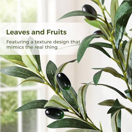 Jocoevol Olive Trees Artificial Indoor, 5FT Realistic Artificial Olive Tree with Natural Wood Trunk Lifelike Fruits Pre Assembled No Maintenance, Sturdy White Planter for Home Office Decor Perfect - size: 5ft