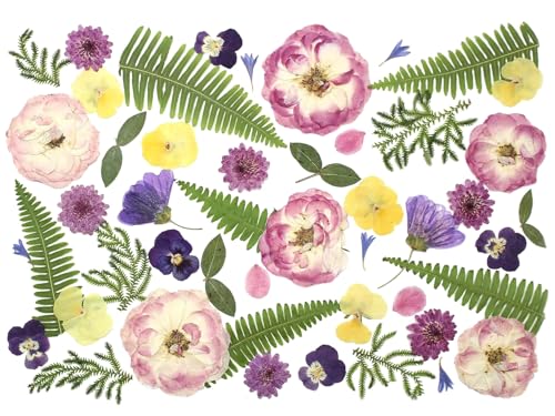 48 Pcs Mix Natural Dried Pressed Flowers for Cake Decorating, Real Dry Flower for Resin Jewelry Making, DIY Art Crafts (Lovely) - color: Lovely