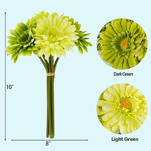 TOPIA Artificial African Daisies Flowers African Daisy Silk Flowers Artificial Gerbera Daisies Pack of 10 (Green) - color: Green, size: 10pcs