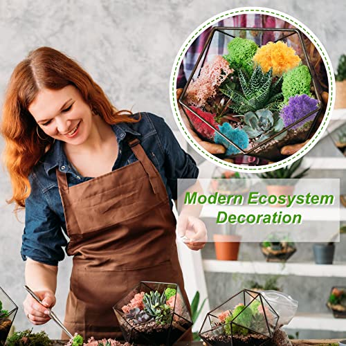 Canlierr 7 Oz Colored Fake Moss Preserved for Crafts Artificial Decorative Moss Faux Garden Dried Floral Forest for Terrariums Wall Decor Fairy Gardens Wedding Floral Project(Mixed Color)