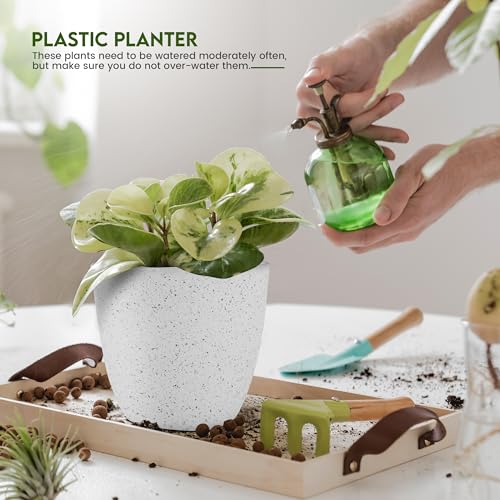 Utopia Home - Spotty Plant Pots Indoor with Drainage - 7/6.6/6/5.3/4.8 Inches Flower Pots - 5 Pack Plastic Planters - Ideal for Stocking Stuffers - (Speckled Grey, Pack of 5) - color: Speckled Grey, size: Pack of 5
