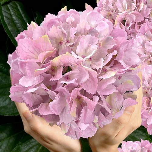 3PCS Pink Silk Hydrangea Artificial Flowers，Fake Flowers & Faux Floral Bulk Bouquet for Home Decor Bathroom Table Centerpiece Shelf Decorations (Pink) - color: Pink