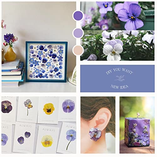 48 Pcs Mix Natural Dried Pressed Flowers for Cake Decorating, Real Dry Flower for Resin Jewelry Making, DIY Art Crafts - Johnny Jump Up - color: Johnny Jump Up