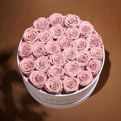 Prifroti 27 Flowers in a Luxury Suede Box, Birthday Gifts for Women, Preserved Flowers, Mothers Day Roses Gift for Mom, Dusty Rose - color: Dusty Rose, size: 27 Roses