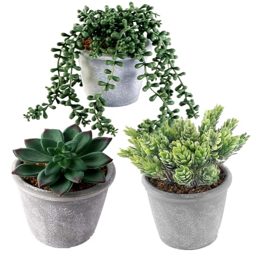 COTSEN 3 Pcs Artificial Succulents Potted Plants Assorted Fake Succulents Potted for Family Office Garden Interior Decor