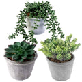 COTSEN 3 Pcs Artificial Succulents Potted Plants Assorted Fake Succulents Potted for Family Office Garden Interior Decor