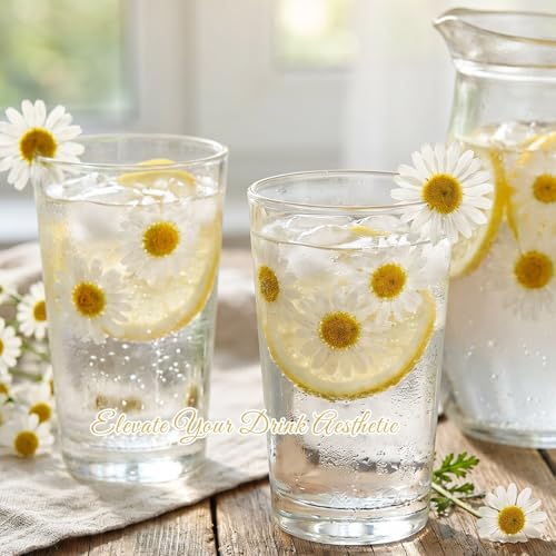 48 Pcs Natural Dried Pressed Daisy Flowers for Cake Decorating, Birthday Party Favors, Real Dry Daisies for Cupcakes, Resin Jewelry Making, DIY Art Crafts(Daisy) - color: Daisy