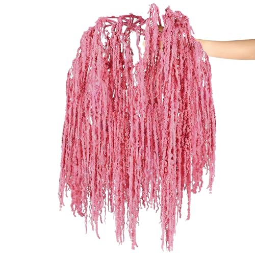 Suncalla 12 Pcs Rose Pink Spring Natural Dried Amaranthus Hanging Flowers Amaranthus Artificial Flowers for Wedding Arch Bouquet Floral Garland Wall Home Decoration (23 Inch) - color: Rose Pink