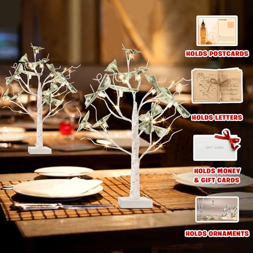 PEIDUO Set of 2 Money Trees, Lighted 22Inch 24LT White Birth Tree with Clips and Greeting Cards, Gift Card Holder for Birthday,Christmas, Wedding, Father's Day Graduation Gifts, Money Tree Gift Holder - style: 2PK Money Tree