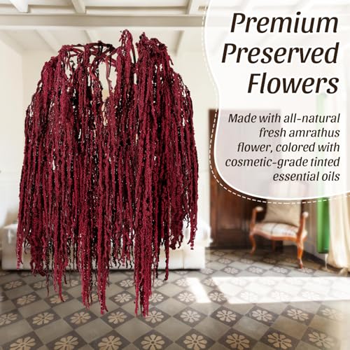 Suncalla 12 Pcs Red Spring Natural Dried Amaranthus Hanging Flowers Amaranthus Artificial Flowers for Wedding Arch Bouquet Floral Garland Wall Home Decoration (23 Inch) - color: Red