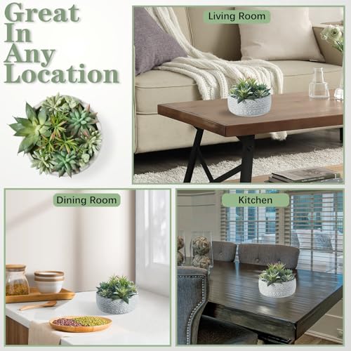 6inch Artificial Succulent Plants in Pots,Fake Succulents with Grey Textured Ceramic Pot for Home Office Desk Bathroom Coffee Table Decor - color: Grey#2, size: 6inch