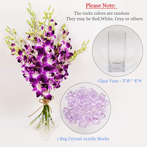 Athena’s Garden Fresh Cut Orchids Purple 10 Stems Sonia Dendrobium Orchids Flowers with Vase and Rocks - size: 10 Stems with Vase