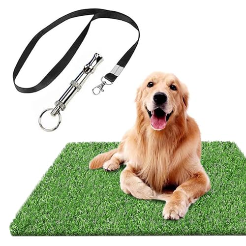 Dog Grass Pad for Dogs - size: 6 Count (Pack of 1)