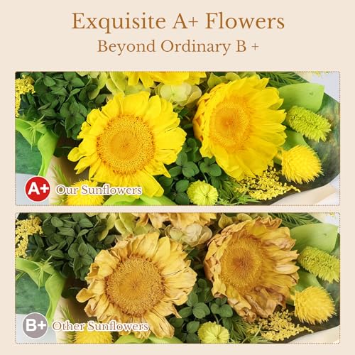Forever Flowers for Delivery - Preserved Sunflower Bouquet with Gift Box & Greeting Card, Real Eternal Flowers, Gifts for Women, Mom, Mother's Day, Birthday, Anniversary, Graduation - color: Green