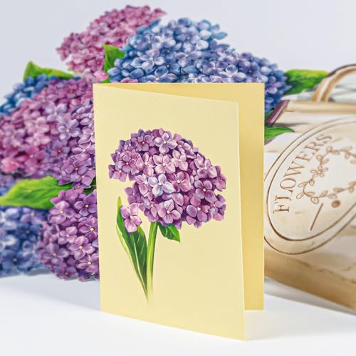 Airpark 3D Pop Up Paper Flowers Bouquet Card 12’‘ with Note & Envelope, Birthday Gifts, Get Well, Thank You, Greeting Cards for Women Mom Wife Friends, Nantucket Hydrangeas - style: Nantucket Hydrangeas