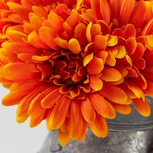 TOPIA Artificial African Daisies Flowers African Daisy Silk Flowers Artificial Gerbera Daisies Faux Daisies Pack of 20 (Orange) - color: Orange, size: 20pcs