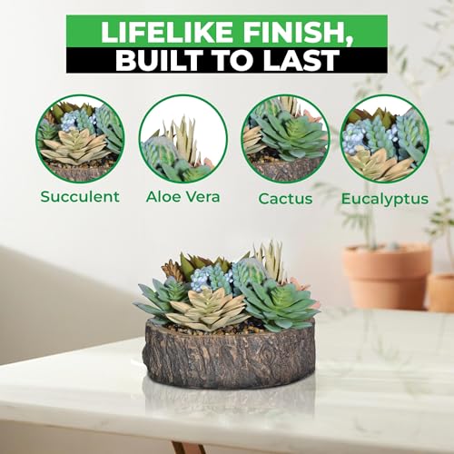 Premium Assorted Artificial Succulent Collection - Large Real Touch Artificial Cactus, Aloe Vera & Succulent Plants Artificial with Pots for Home Office Indoor (Artificial Tree Stump - Pot) - color: Artificial Tree Stump - Pot