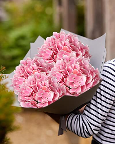 DILATATA Large Single Headed Pink Hydrangea 26" Artificial Hydrangea Flowers Fake Hydrangeas for Wedding Bouquet, Home, Party, Store, 3 - color: Light Pink #3, size: 3PCS