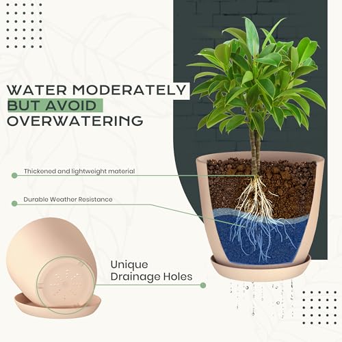 Utopia Home - Plant Pots Indoor with Drainage - 7/6.6/6/5.3/4.8 Inches Home Decor Flower Pots - Plastic Planters for Indoor Plants, Cactus, Succulents Pot (Pink, Pack of 10) - color: Peach Pink, size: Pack of 10