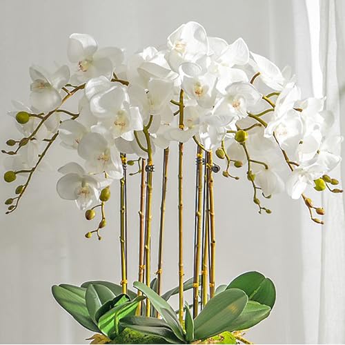 DUYONE Artificial Orchid Plant, 35 Inch 4 Pcs Phalaenopsis Flowers with Leaves, Real Touch Orchid Stems for Home Decoration - color: Flowers 4pcs With 4 Leaves(not Include Vases)
