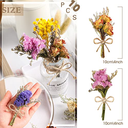 10 Pcs Mini Dried Flowers Bouquet Natural Gypsophila Don't Forget Me Dried Flowers Bouquet Plant Stem Bunch for DIY Craft Card Photo Props Vase Wedding Decor(Colorful)