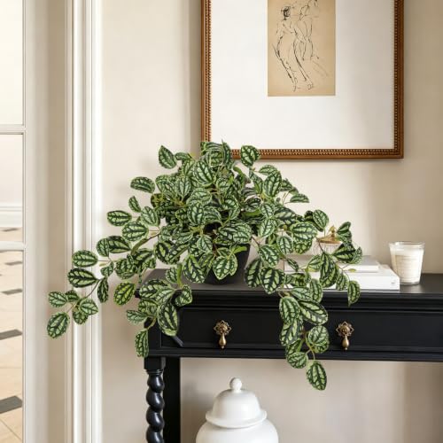 Briful Artificial Potted Plant Indoor, 19.6" Faux Watermelon Peperomia Trailing Plant in Black Pot, Realistic Fake Plants with Cascading Green Leaves for Shelf Bathroom Office Desk Kitchen Home Decor - color: Dark Green Grid