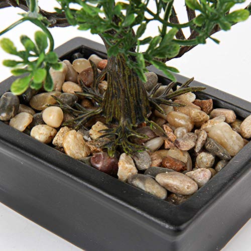 Artificial Bonsai Tree Juniper Faux Plants Indoor Small Fake Plants Decor with Ceramic Pots for Home Table Office Desk Bathroom Shelf Bedroom Living Room Farmhouse Decorations - style: 6" Ficus
