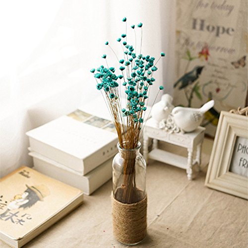 100 Stems Natural Dry Flowers Brazilian Small Star Daisy Decorative Dried Flowers Mini Daisy Chamomile Bouquet for Wedding Floral Arrangements Home Decorations (Blue) - color: Blue