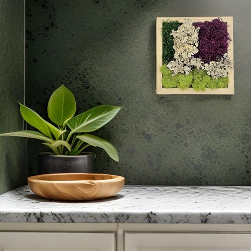 Quality Growers - The Moss Collection Variety Pack - Natural Decorative Moss - Crafts, Home Decor, Art, Design & DIY Projects - Non-Toxic - Made in USA - Red Mix, Small - color: Red Mix, size: Small