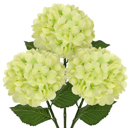 Hollyone 3Pcs Light Green Hydrangea Artificial Flowers Real Touch Faux Silk Hydrangeas Flowers with Stem Fake Florals Flower for Home Wedding Table Centerpiece Vase Arrangements Decoration - color: Light Green