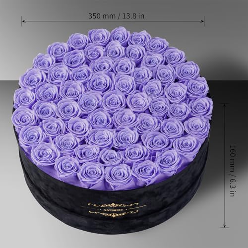 Gifts for Women – NATROSES 60 Preserved Roses in Luxury Black Velvet Box, Preserved Flowers for Delivery Gift for Her, Elegant Rose for Birthday, Mother’s Day, Christmas (Lavender) - color: Lavender, size: 60 Roses