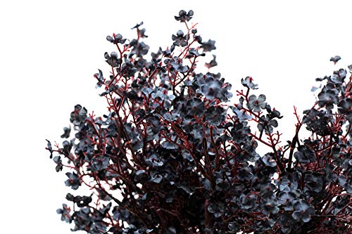 JAKY-Global Babys Breath Fabric Cloth Artificial Flowers 6 Bundle European Fake Silk Plants Decor Wedding Party Decoration Bouquets Real Touch DIY Home Garden (Black-6pcs) - color: Black, size: 6 Bundles