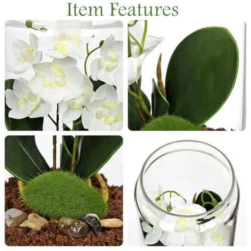 White Orchids Artificial Flowers with Vase, Small Faux Orchid Arrangement Fake Orchids Plant in Terrarium Jar Small White Orchid Centerpieces for Kitchen Dining Room Tables Bathroom Nightstand Decor - color: White + Brown Sand