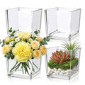 4 Pack Square Glass Vase 6" x 6" x 6", Clear Flower Vase for Centerpieces,Plant Terrarium, Floating Candle Holder for Wedding Centerpieces, Office Decorations, Home Décor, Parties and Events - size: 6"-4Pack