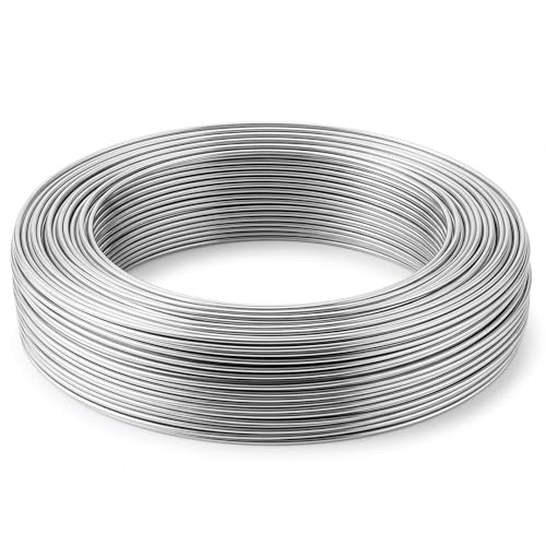 Pelopy 12 Gauge 304 Stainless Steel Wire 100 FT Metal Wire Armature Bendable Armature for Sculpting Dolls Floral Jewelry Making Weaving DIY Crafts, Silver - size: 12 Gauge,100ft