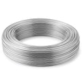 Pelopy 12 Gauge 304 Stainless Steel Wire 100 FT Metal Wire Armature Bendable Armature for Sculpting Dolls Floral Jewelry Making Weaving DIY Crafts, Silver - size: 12 Gauge,100ft
