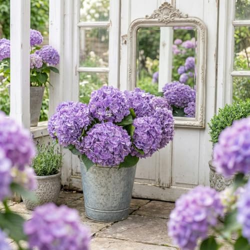 Waipfaru Hydrangea Artificial Flowers, 21in Real Touch Artificial Hydrangea Flowers, Purple Latex Full Flower Head with Stems, Faux Hydrangea Flowers Outdoors Wedding Bouquets Home Decor - color: Purple, size: 3pcs