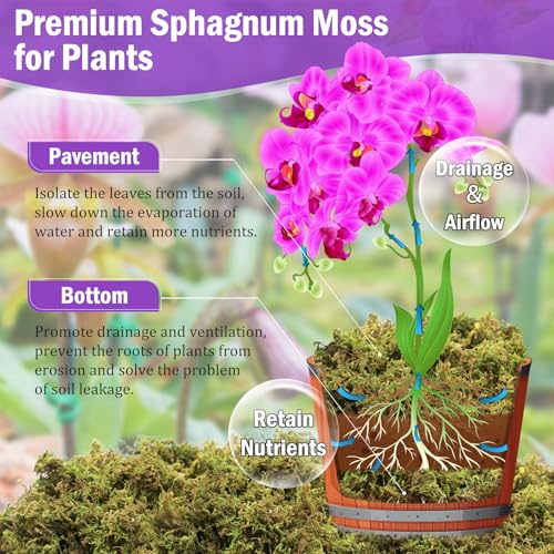 Riare 3.3LBS Premium Sphagnum Moss for Plants- 60QT Natural Dried Plant Moss for Potted Plants, Orchid Moss for Repotting, Soft Green Decorative Moss for Succulents, Reptiles & DIY Crafts - color: 60 QT(Appx.3.3lbs)