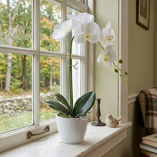 Artificial Orchid Flowers in Pot, 17" Real Touch Phalaenopsis Faux Orchid Plant (Adjustable to 20"), Large White/Pink Fake Flower Arrangement for Dining Table Centerpiece, Home Office (White) - color: White
