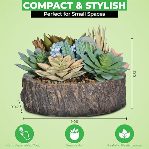Premium Assorted Artificial Succulent Collection - Large Real Touch Artificial Cactus, Aloe Vera & Succulent Plants Artificial with Pots for Home Office Indoor (Artificial Tree Stump - Pot) - color: Artificial Tree Stump - Pot