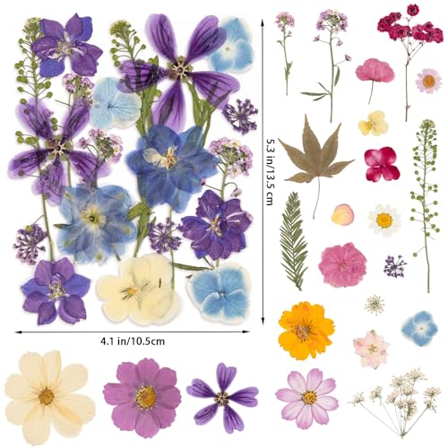 80PCS Spring Large Pressed Flowers Leaves , Real Nature Dry Flowers for Resin Craft, Larage Pressing Floral with Tweezers Set for DIY Jewelry Making Nail Card Scrapbook Art - size: Vintage