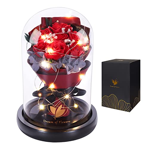 Valentines Day Gifts for Her-Beauty and The Beast Rose,Lasts Forever Red Roses,Light Up Rose in Glass Dome,Gifts for Women,Birthday Gifts for Mom,Wife,Grandma,Anniversary,Mothers,Thanksgiving - color: Red Rose