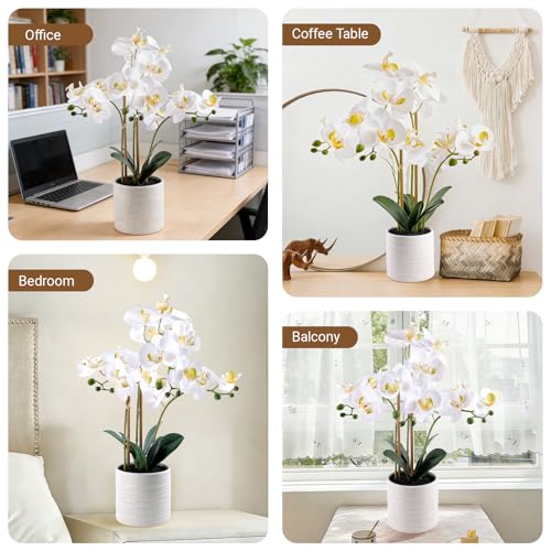 Fake Orchid Plant 23" Tall, Realistic Touch Leaves, Potted Phalaenopsis Artificial Plants Indoor for Home Decor Small Office Home Living Room-White - size: 23 Inch Phalaenopsis Orchid White