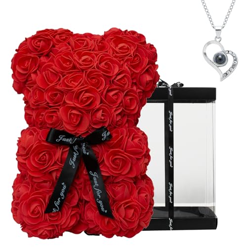 DuHouse Rose Bear Rose Teddy Bear Flower Gift Box for Valentines Gifts Anniversary Christmas,Birthdays Bridal Showers -Fully Handmade 10 inch Flower Bear Clear Gift Box(Red with Necklaces) - color: Red With Necklaces