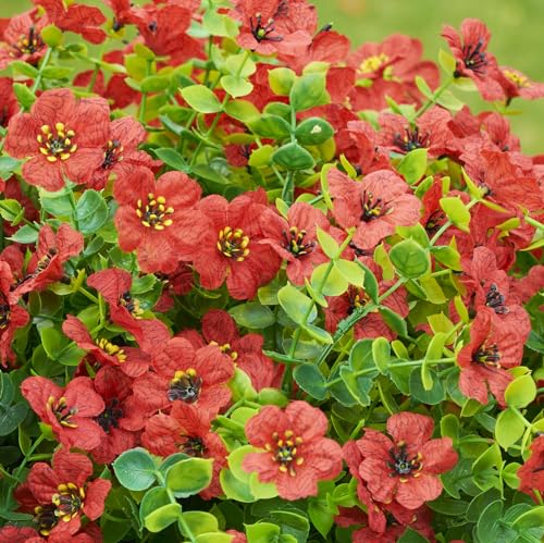 HyeFlora Artificial Flowers for Outdoor Indoor Garden Home Decoration, Faux Flower Daisy with Eucalyptus Leaves Fake Plants Greenery Boxwood Porch Patio, 12 Bundles (Red) - color: Red