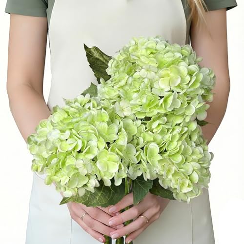 3 Pcs Real Touch Hydrangea Artificial Flowers, Washable & Lifelike 3D Latex Light Green Hydrangeas for Spring Home Decor, Wedding, Kitchen Window, Dining Table Centerpiece, Office Desk - color: Light Green