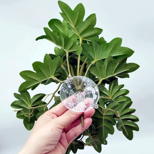 Reptile Plants for Terrarium, Amphibian Habitat Decor Artificial Hanging Plants with Suction Cup, Artificial Plants for Gecko Chameleon Snake Tortoise Tank Accessories. 2-Pack(Philodendron selloum) - color: Philodendron Selloum