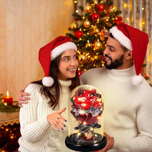 Valentines Day Gifts for Her-Beauty and The Beast Rose,Lasts Forever Red Roses,Light Up Rose in Glass Dome,Gifts for Women,Birthday Gifts for Mom,Wife,Grandma,Anniversary,Mothers,Thanksgiving - color: Red Rose