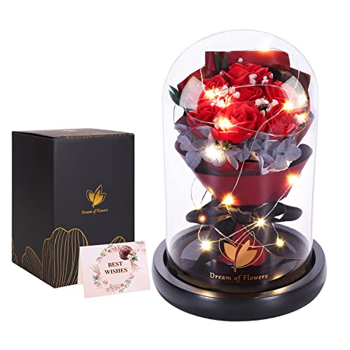 Dream of Flowers Eternal Beauty and the Beast Rose Bouquet - Mothers Day Rose Gifts for Mom, Grandma | Glass Dome Rose with 2 Light Modes, Sentimental Floral Gift, Birthday Gifts for Women - color: Classic Red Rose